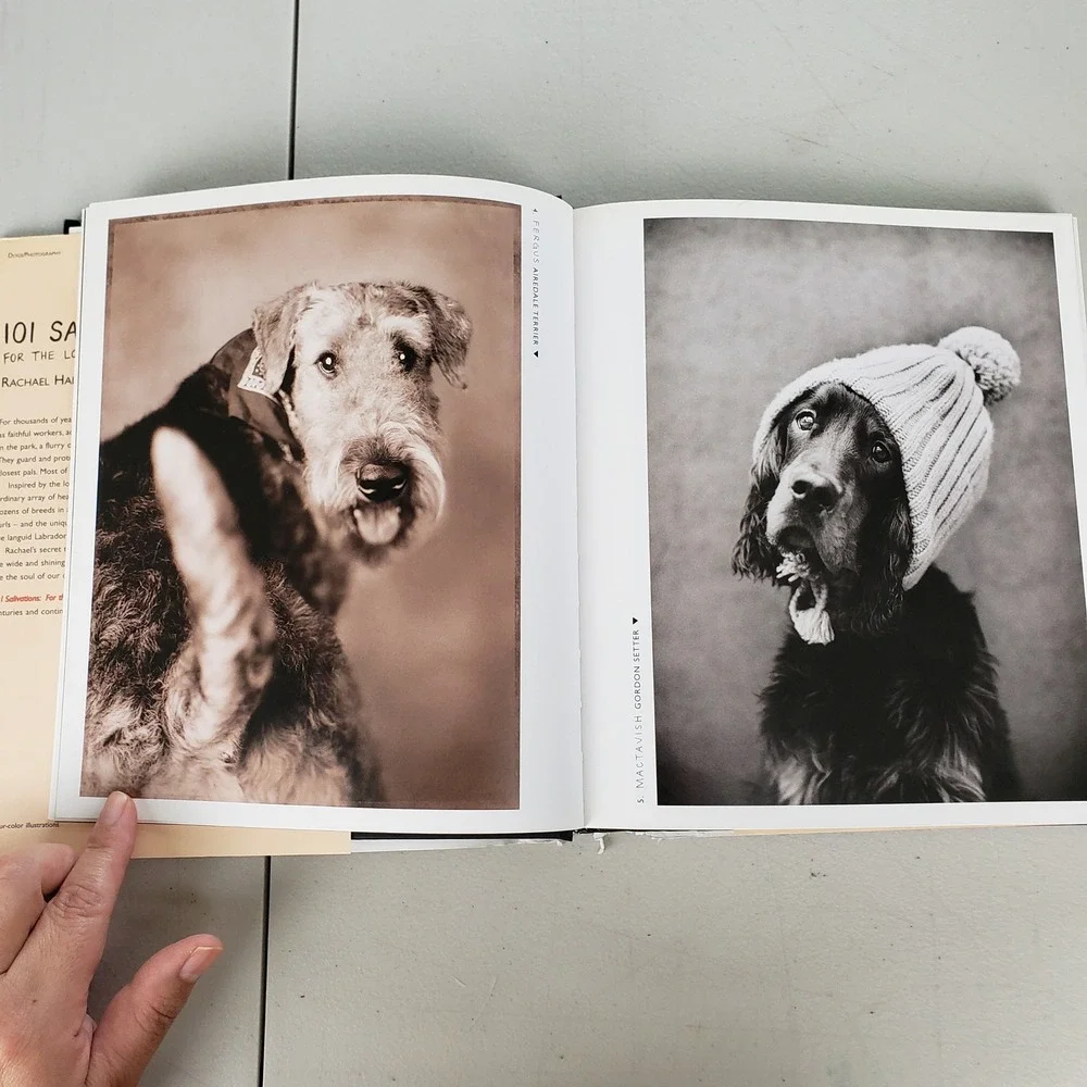 101 Salivations For the Love of Dogs Rachael Hale Hardcover Photography Book